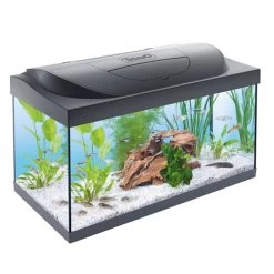 TETRA STARTER AQUARIUM LED 54L