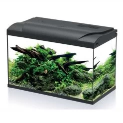 HS AQUARIUM PLATY 30 LED ZWART 39X22X36C