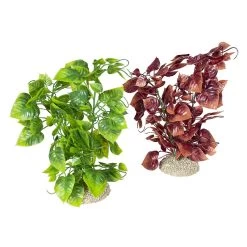 AQUA DELLA PLANT ANUBIAS NANA L