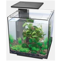 SUPERFISH QUBIQ 30 PRO ZWART