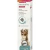 Beaphar Intesto Pro Pasta Hond/kat 2x 20ml -MeowAndMutt Mart beaphar intesto pro pasta hondkat 20ml