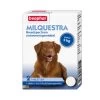 Beaphar Milquestra Hond (5 Tot 50 Kg)