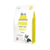 Brit Mini Grain Free Adult Lamb 2kg -MeowAndMutt Mart brit mini grain free adult lamb 2kg