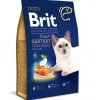 Brit Premium By Nature Cat - Adult Salmon 8 Kg -MeowAndMutt Mart brit premium by nature cat adult salmon 8 kg
