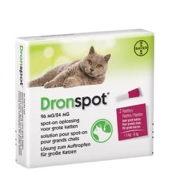 Dronspot Kat Van 5 Tot 8 Kg Grote Kat