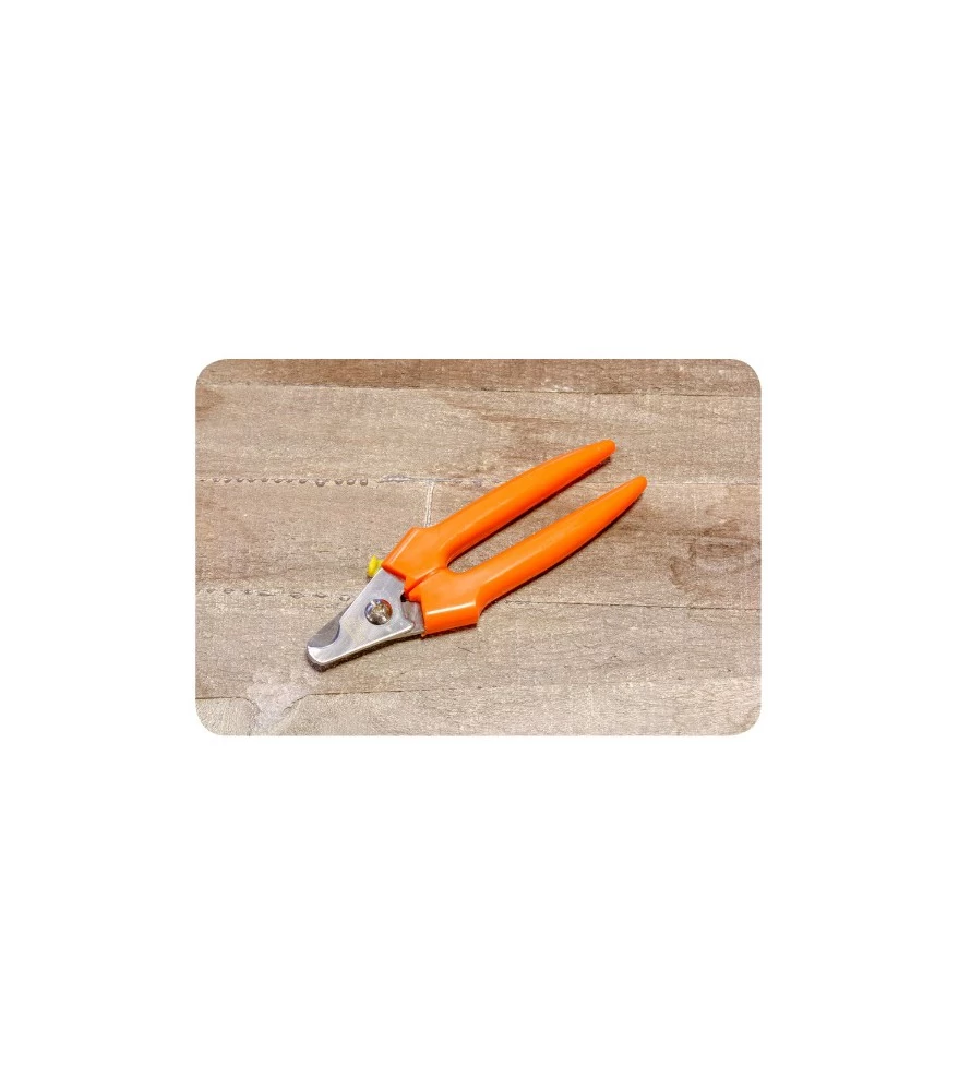 Jean Peau JP 549 Nageltang Oranje 3 Jean Peau JP 549 Nageltang Oranje